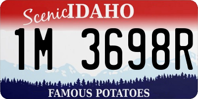 ID license plate 1M3698R