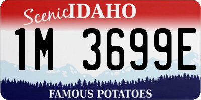 ID license plate 1M3699E