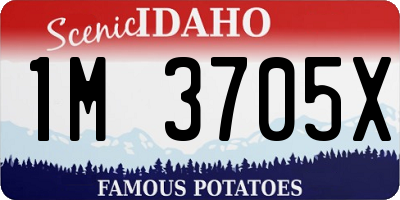 ID license plate 1M3705X