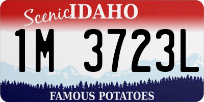 ID license plate 1M3723L