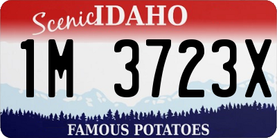 ID license plate 1M3723X