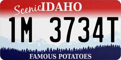 ID license plate 1M3734T