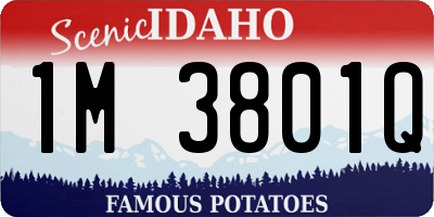 ID license plate 1M3801Q