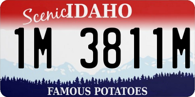 ID license plate 1M3811M