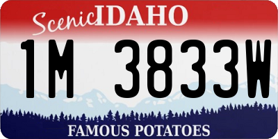 ID license plate 1M3833W