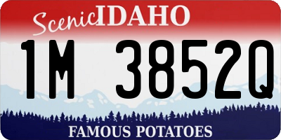 ID license plate 1M3852Q