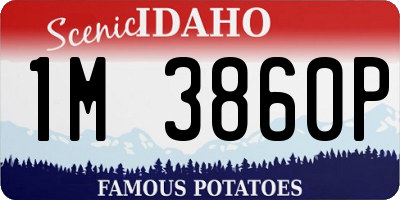 ID license plate 1M3860P
