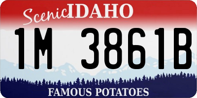 ID license plate 1M3861B