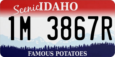 ID license plate 1M3867R