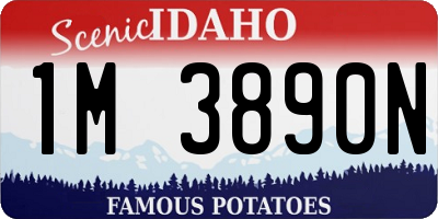 ID license plate 1M3890N