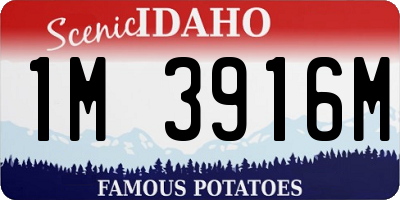 ID license plate 1M3916M