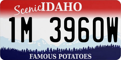 ID license plate 1M3960W