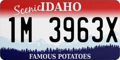 ID license plate 1M3963X