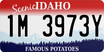 ID license plate 1M3973Y