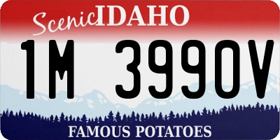 ID license plate 1M3990V