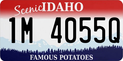 ID license plate 1M4055Q