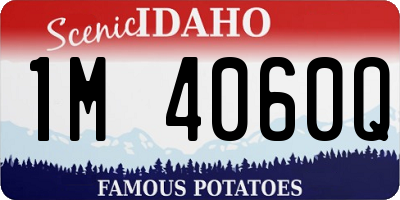 ID license plate 1M4060Q