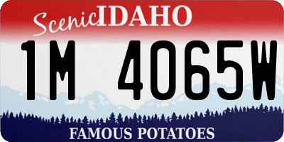 ID license plate 1M4065W