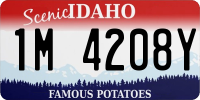 ID license plate 1M4208Y