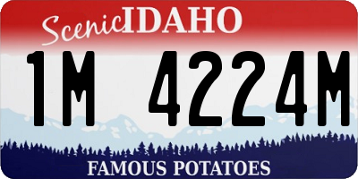ID license plate 1M4224M