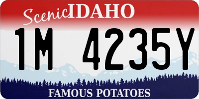 ID license plate 1M4235Y