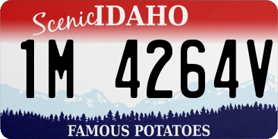 ID license plate 1M4264V