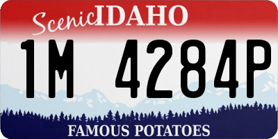 ID license plate 1M4284P