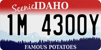 ID license plate 1M4300Y