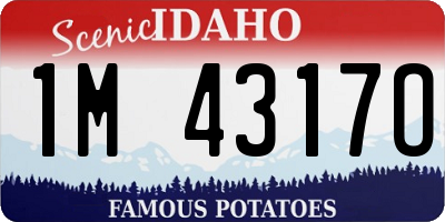 ID license plate 1M4317O