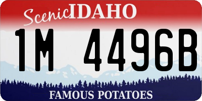 ID license plate 1M4496B