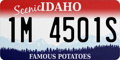 ID license plate 1M4501S