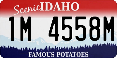 ID license plate 1M4558M