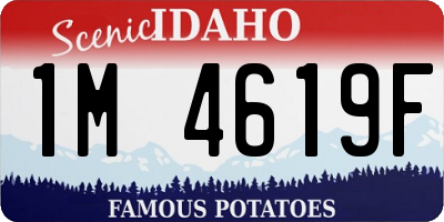 ID license plate 1M4619F