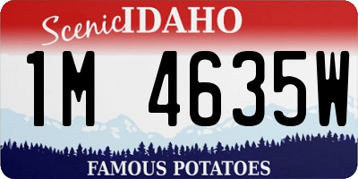 ID license plate 1M4635W