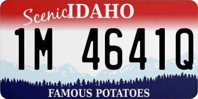 ID license plate 1M4641Q