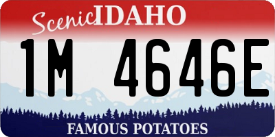 ID license plate 1M4646E