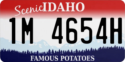 ID license plate 1M4654H
