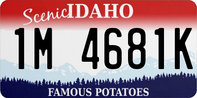 ID license plate 1M4681K