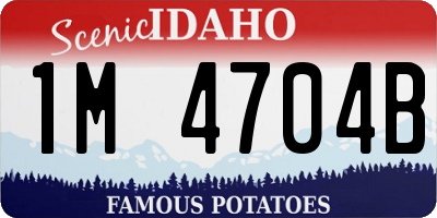 ID license plate 1M4704B