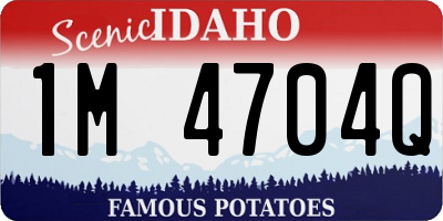 ID license plate 1M4704Q