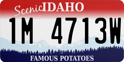 ID license plate 1M4713W