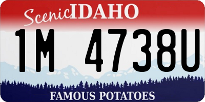 ID license plate 1M4738U