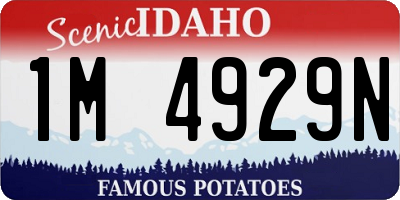 ID license plate 1M4929N