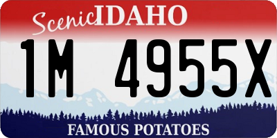 ID license plate 1M4955X