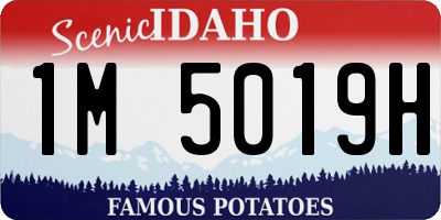ID license plate 1M5019H