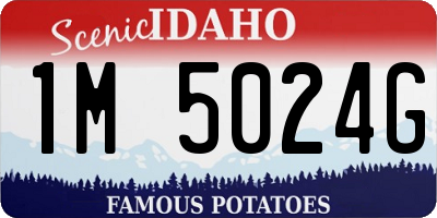 ID license plate 1M5024G