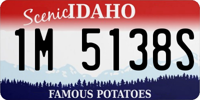 ID license plate 1M5138S