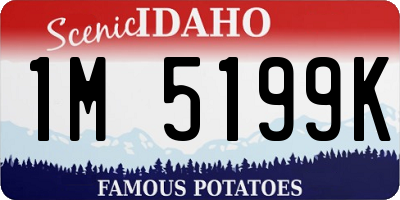 ID license plate 1M5199K