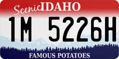 ID license plate 1M5226H