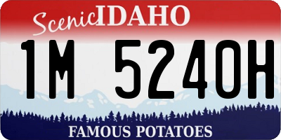 ID license plate 1M5240H